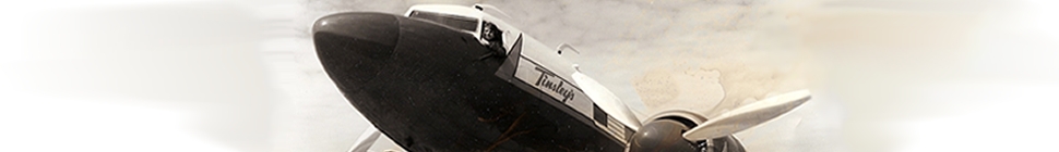 The Wind Beneath My Wing header image 2