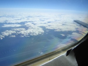 Wing Wing Over Canada
